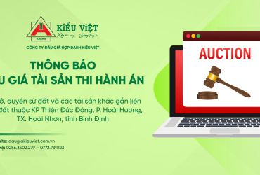 [HOÀI NHƠN] ĐẤU GIÁ TÀI SẢN THI HÀNH ÁN