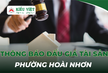 THÔNG BÁO ĐẤU GIÁ TÀI SẢN THI HÀNH ÁN QSDĐ – PHƯỜNG HOÀI NHƠN, TỈNH GIA LAI (VỢ CHỒNG ÔNG ĐỖ VĂN ÁNH VÀ BÀ HỒ THỊ MỸ LINH)