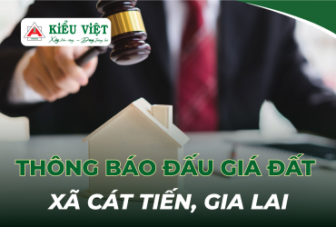 THÔNG BÁO ĐẤU GIÁ QUYỀN SỬ DỤNG ĐẤT – CÁC LÔ CÒN LẠI TẠI KHU KINH TẾ NHƠN HỘI, XÃ CÁT TIẾN, TỈNH GIA LAI
