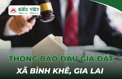 QUYỀN SỬ DỤNG ĐẤT ĐỐI VỚI CÁC LÔ ĐẤT Ở NHỎ LẺ CÒN LẠI TẠI XÃ BÌNH KHÊ, TỈNH GIA LAI