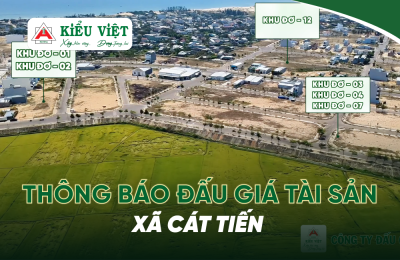 QUYỀN SỬ DỤNG ĐẤT Ở TẠI DỰ ÁN KDC DỌC TUYẾN ĐƯỜNG NỐI TỪ ĐƯỜNG TRỤC KHU KINH TẾ ĐẾN KHU TÂM LINH CHÙA LINH PHONG TẠI XÃ CÁT TIẾN, TÍNH GIA LAI