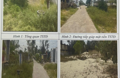 Tài sản kê biên Quyền sử dụng đất và tài sản trên đất của bà Nguyễn Thị Kim Phượng